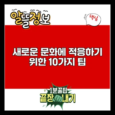 새로운 문화에 적응하기 위한 10가지 팁