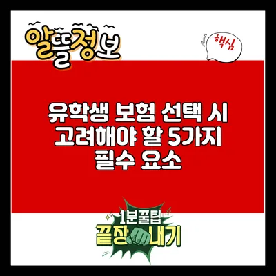유학생 보험 선택 시 고려해야 할 5가지 필수 요소