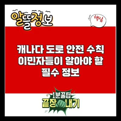 캐나다 도로 안전 수칙: 이민자들이 알아야 할 필수 정보