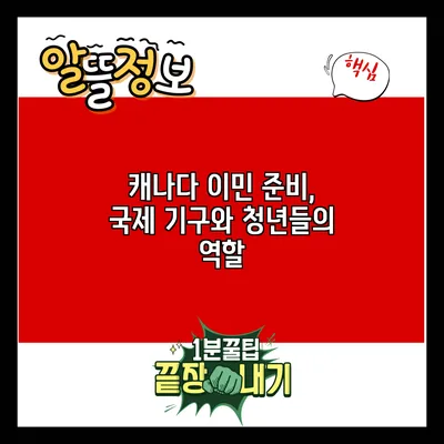 캐나다 이민 준비, 국제 기구와 청년들의 역할