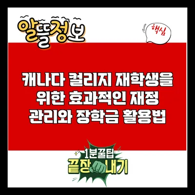 캐나다 컬리지 재학생을 위한 효과적인 재정 관리와 장학금 활용법