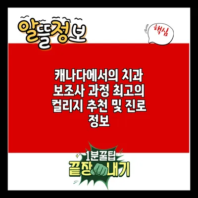 캐나다에서의 치과 보조사 과정: 최고의 컬리지 추천 및 진로 정보
