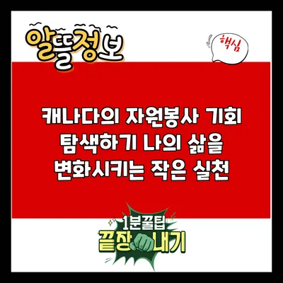 캐나다의 자원봉사 기회 탐색하기: 나의 삶을 변화시키는 작은 실천