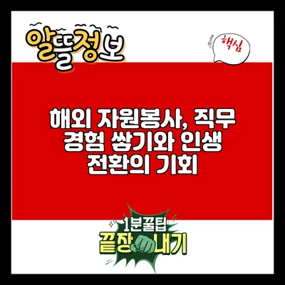 해외 자원봉사, 직무 경험 쌓기와 인생 전환의 기회