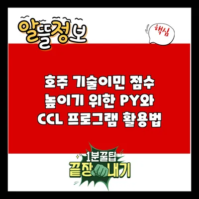 호주 기술이민 점수 높이기 위한 PY와 CCL 프로그램 활용법
